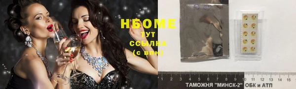 молекула духа Карпинск